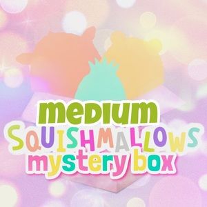 Mystery Squishmallow box!